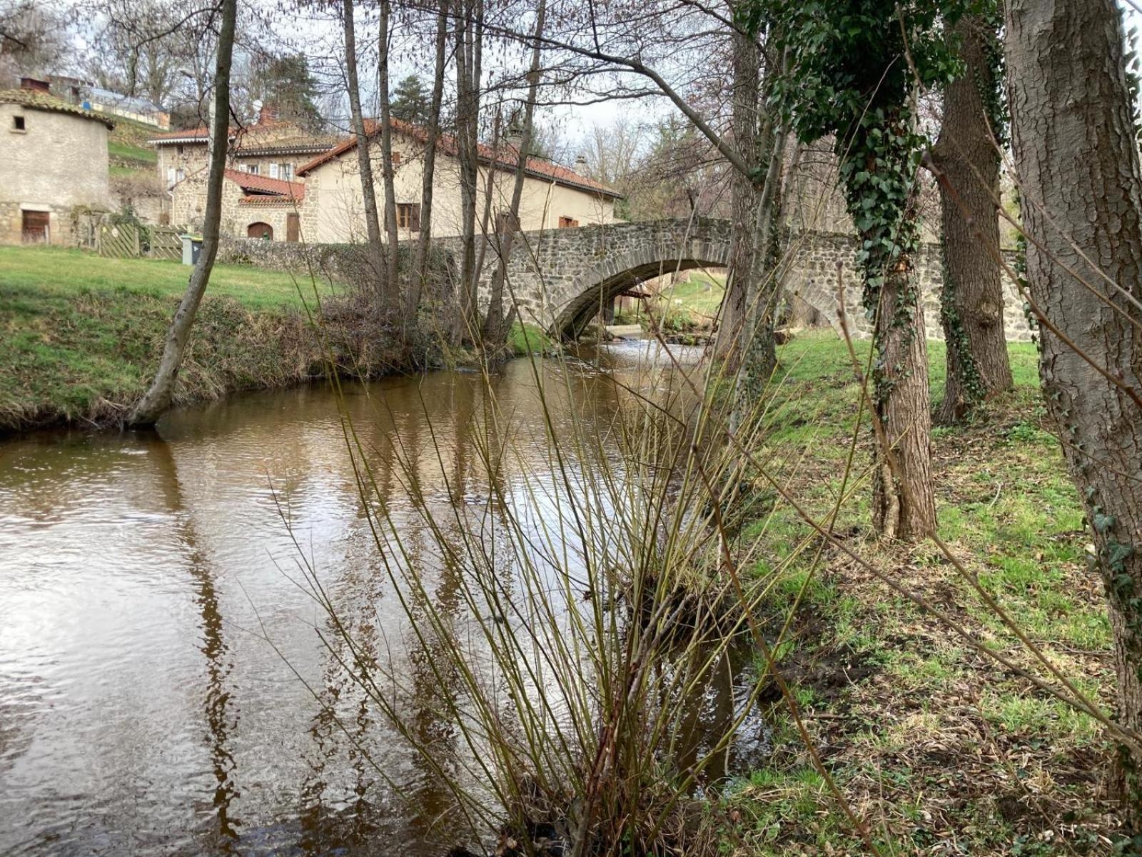 Soleymieux Jolie Maison De Campagne, Compostelle 빌라 외부 사진