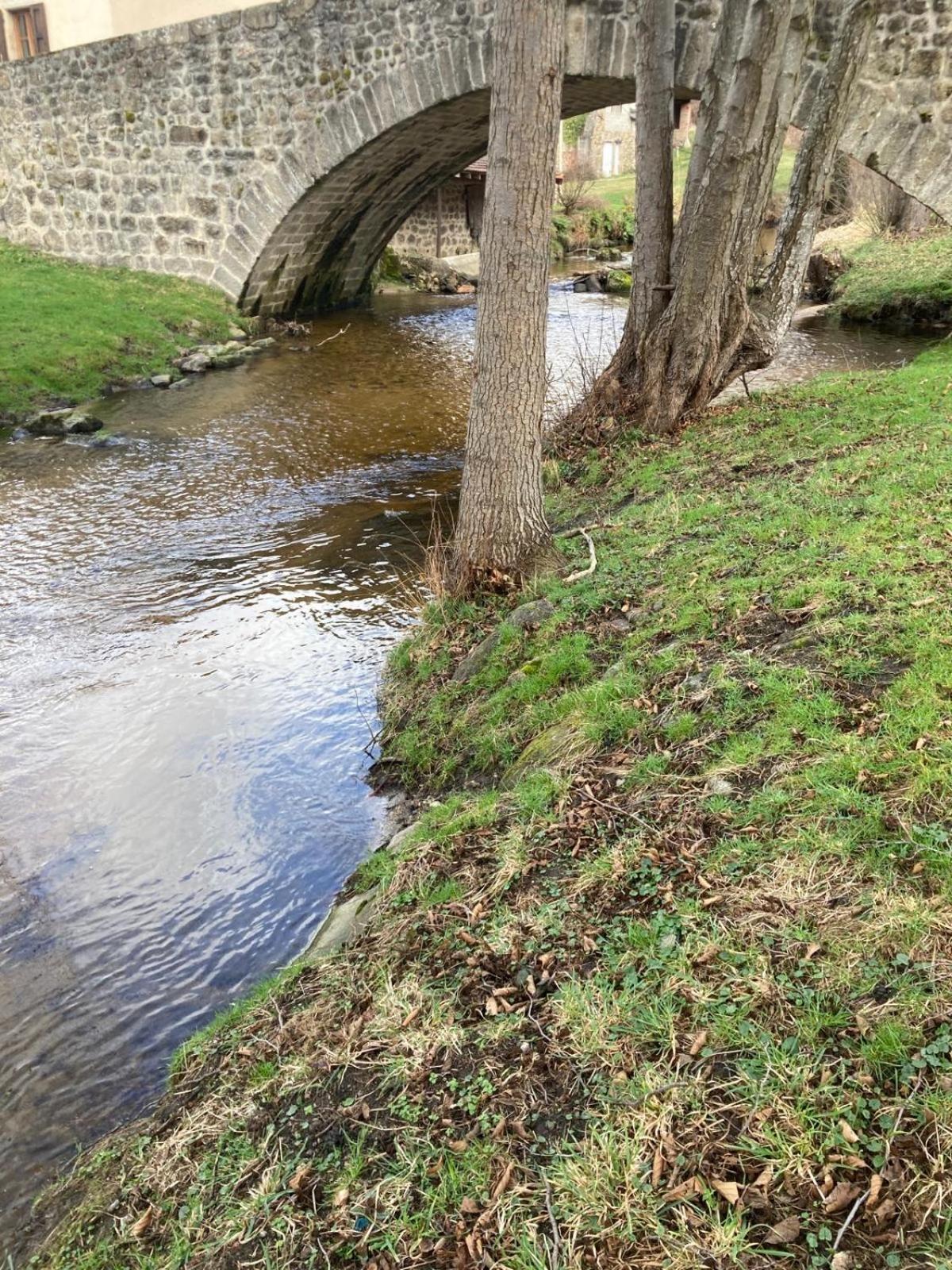 Soleymieux Jolie Maison De Campagne, Compostelle 빌라 외부 사진